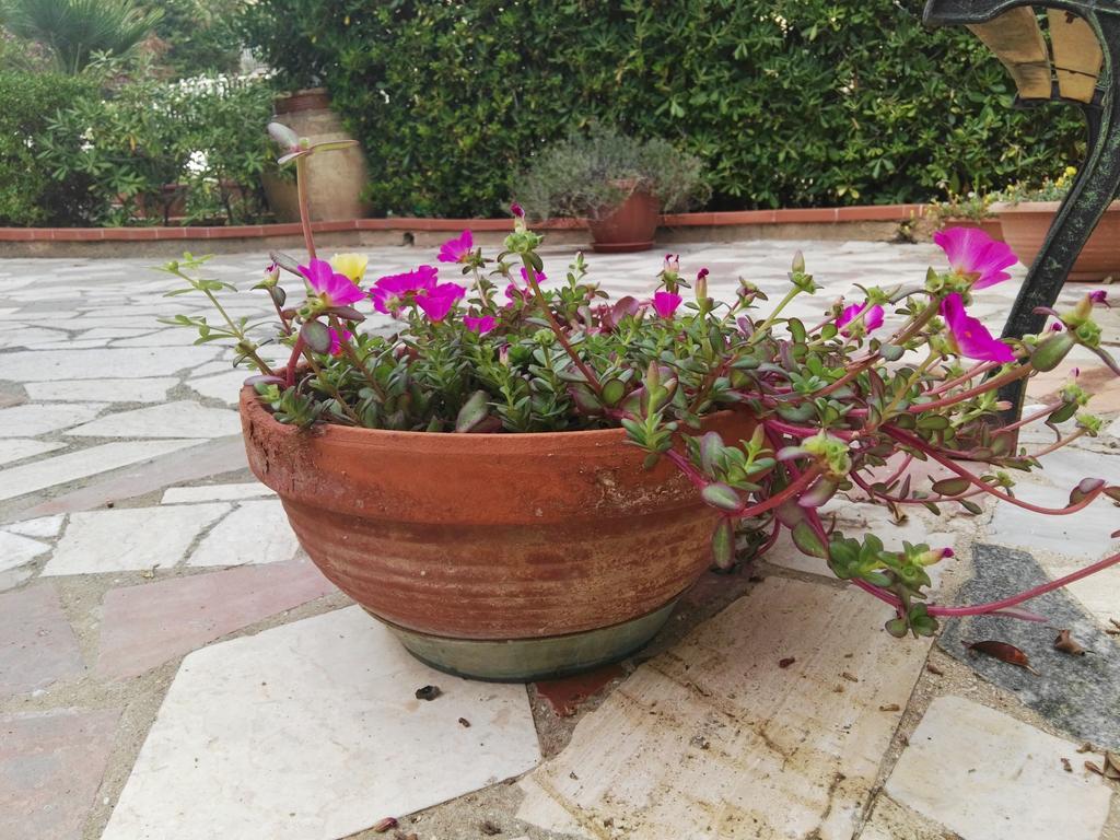 Villalba Castellammare del Golfo Εξωτερικό φωτογραφία